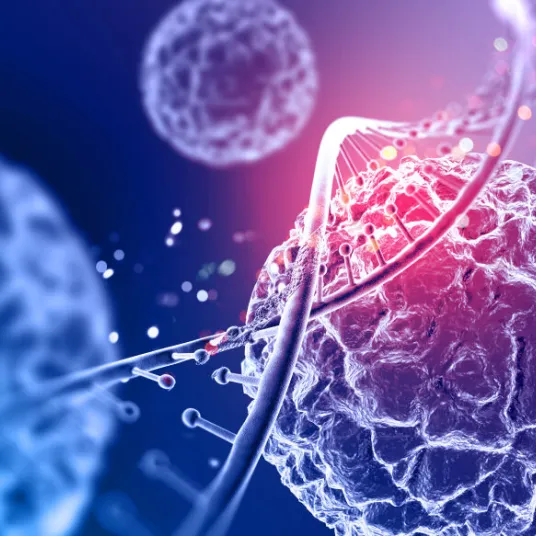 Destruction de l'ADN