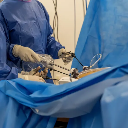 Intervention sous coelioscopie 