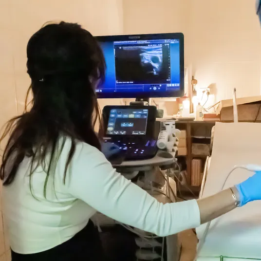 Echodoppler avec un médecin Angiologue