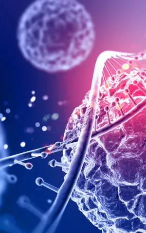 Destruction de l'ADN