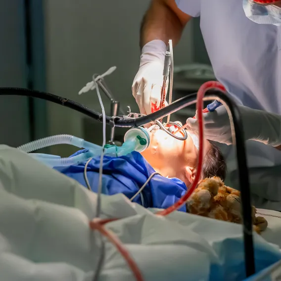 Intervention enfant avec doudou à côté