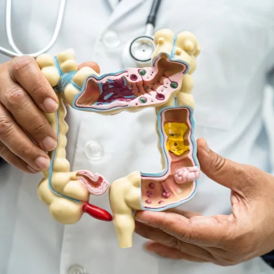 digestive-PPR