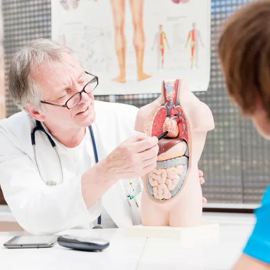 Praticien expliquant l'anatomie à un patient