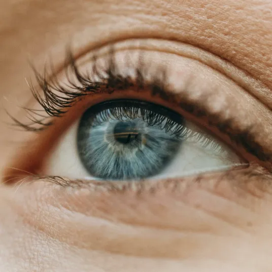 Zoom sur un œil de couleur bleue