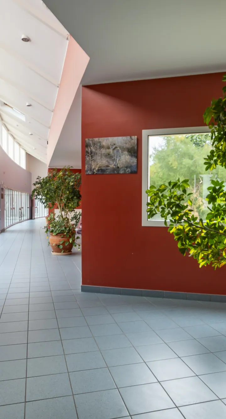 Le couloir de la clinique Ker Yonnec