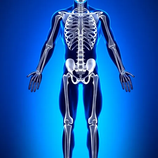 Chirurgie orthopédique et traumatologique à la Clinique de la Région Mantaise
