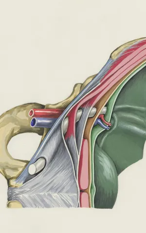 Chirurgie vasculaire