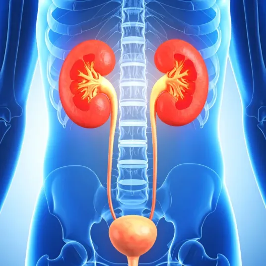 La chirurgie urologique à la Clinique de la Région Mantaise