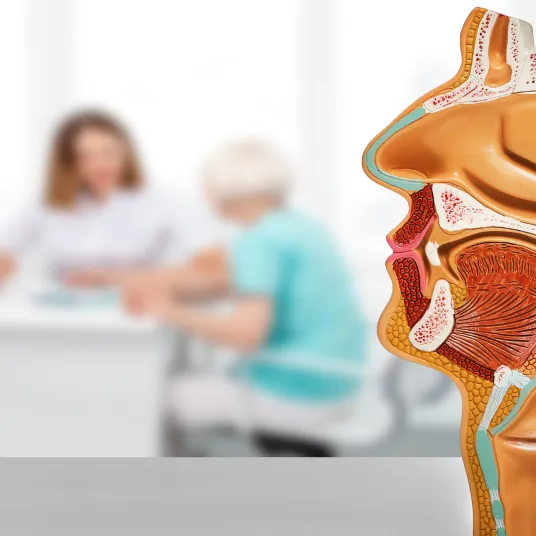 ORL & Chirurgie cervico-facial & Chirurgie face et cou - ILLUSTRATION