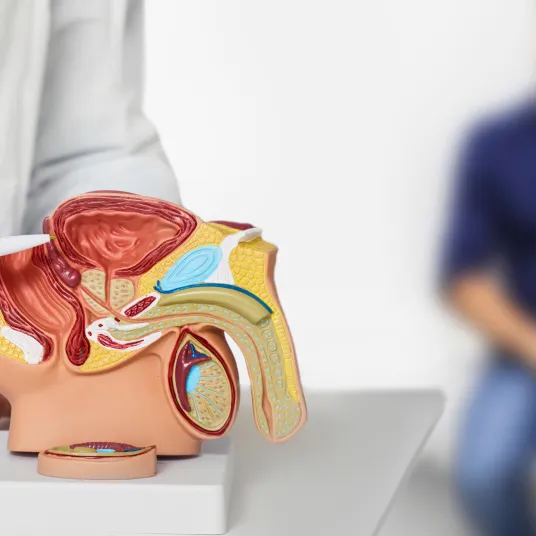 Chirurgie Urologique -  ILLUSTRATION