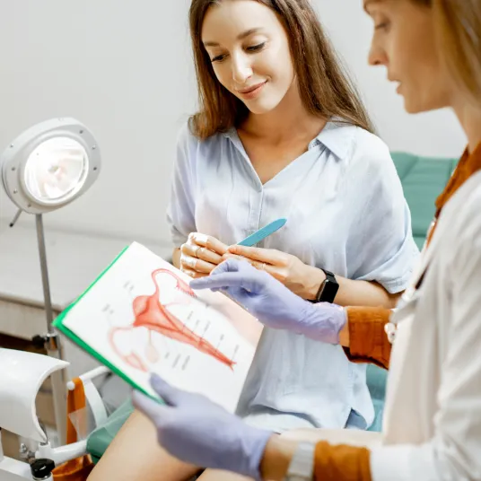 Gynécologie - ILLUSTRATION 2