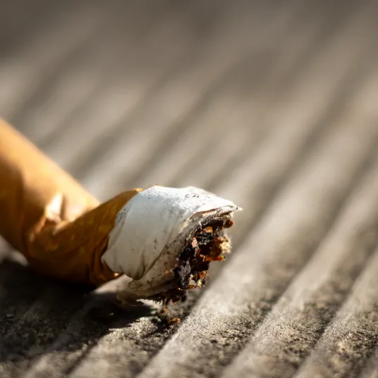 Tabacologie - ILLUSTRATION