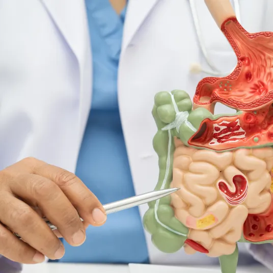 Chirurgie Viscérale et Digestive - ILLUSTRATION