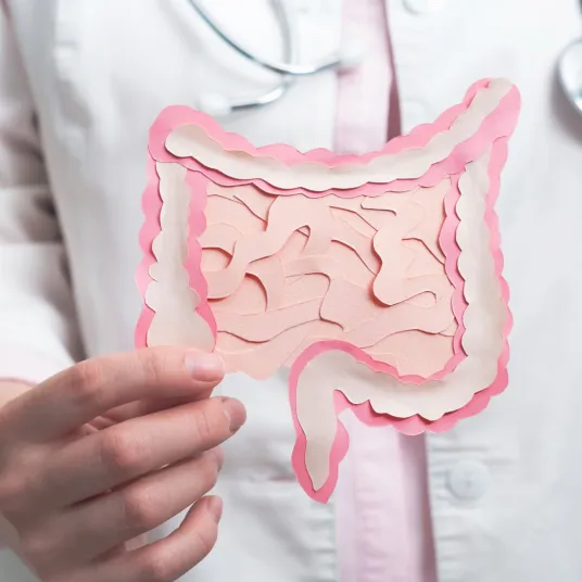 Gastro-entéro et Hépatologie - ILLUSTRATION