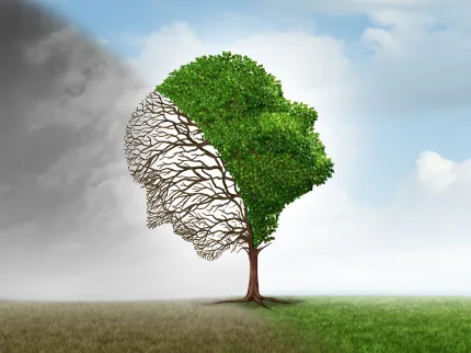 Représentation visuelle du trouble de l'humeur, Groupe Vivalto Santé