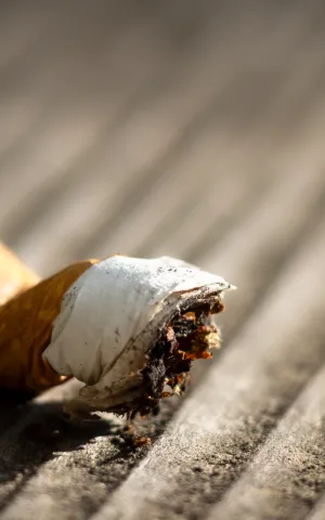 Tabacologie - ILLUSTRATION