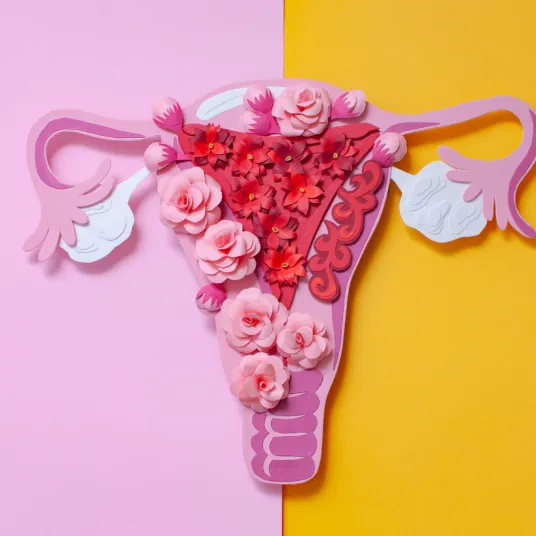 Chirurgie Gynécologique - ENDO - ILLUSTRATION 1