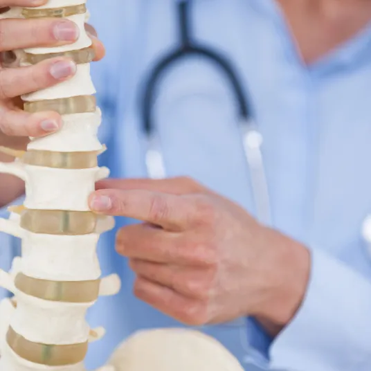 Chirurgie Orthopédique & Traumatologique - Illustration 4