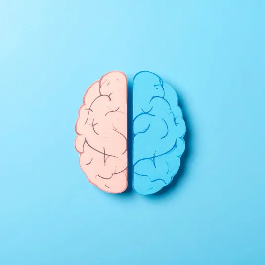 Neurologie - ILLUSTRATION