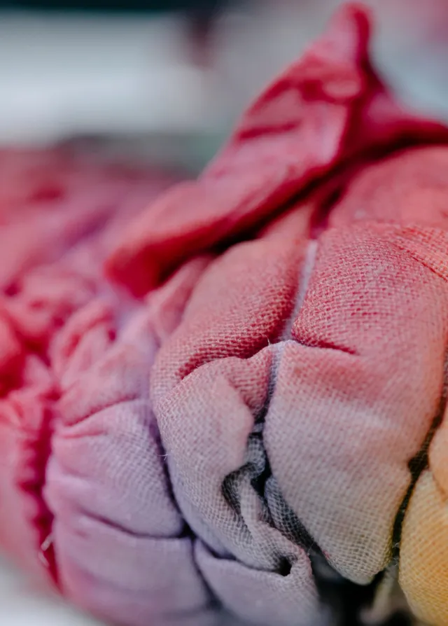  Angiologie – Médecine vasculaire 