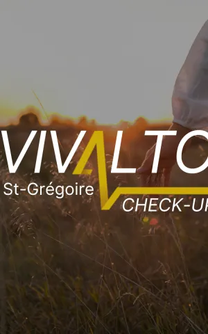 Logo - Vivalto CHECK-UP