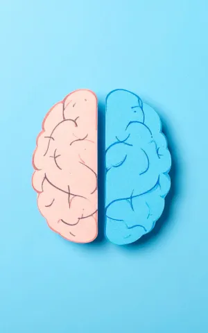 Neurologie - ILLUSTRATION