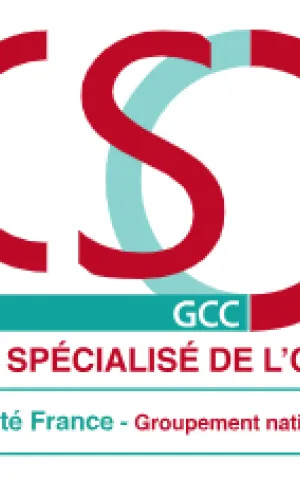 Logo GCC CSO
