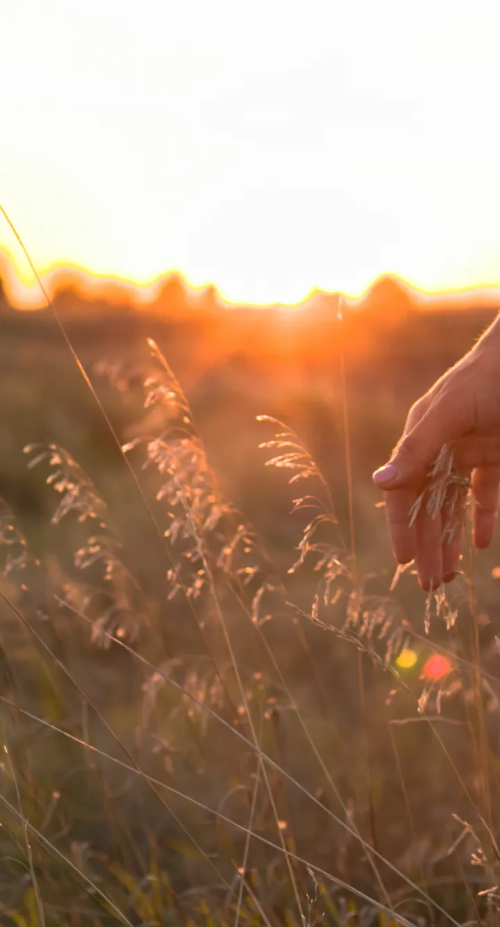 Illustration générale - CHECK UP 