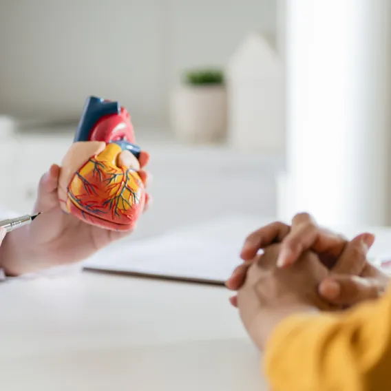 Cardiologie - ILLUSTRATION