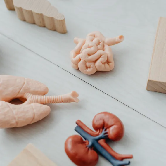 Chirurgie Vasculaire 2