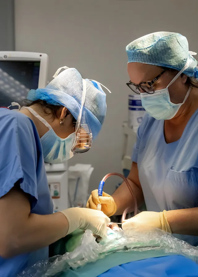 Intervention chirurgicale au bloc opératoire du Pôle Santé Léonard de vinci
