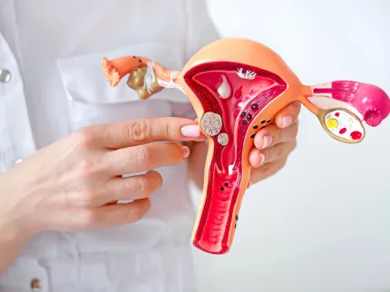 Gynécologue manipulant une maquette 3d d'un utérus