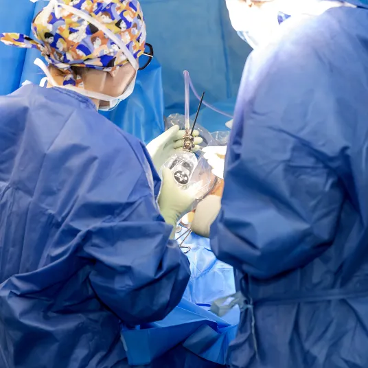 Equipe chirurgicale à la Polyclinique Lyon Nord