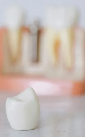 Chirurgie maxillo-faciale et Stomatologie