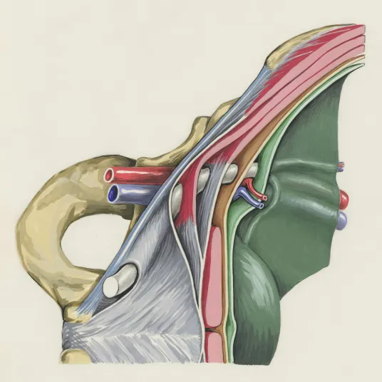 Chirurgie vasculaire