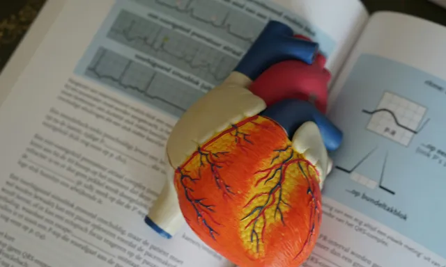 Centre Cardiologique d’Évecquemont -rythmologie interventionnelle